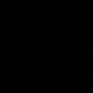 Meet your Posher, Brooklyn